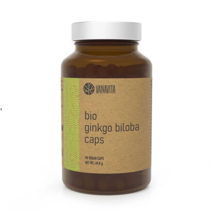 Ginkgo 24/6 